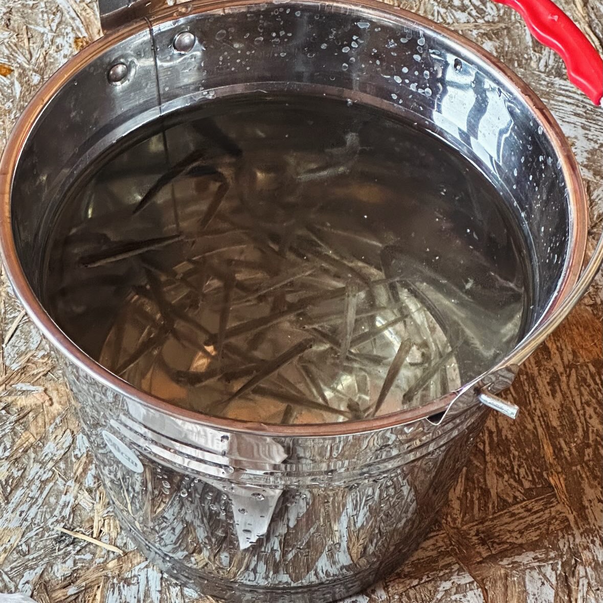 12 ice fishing