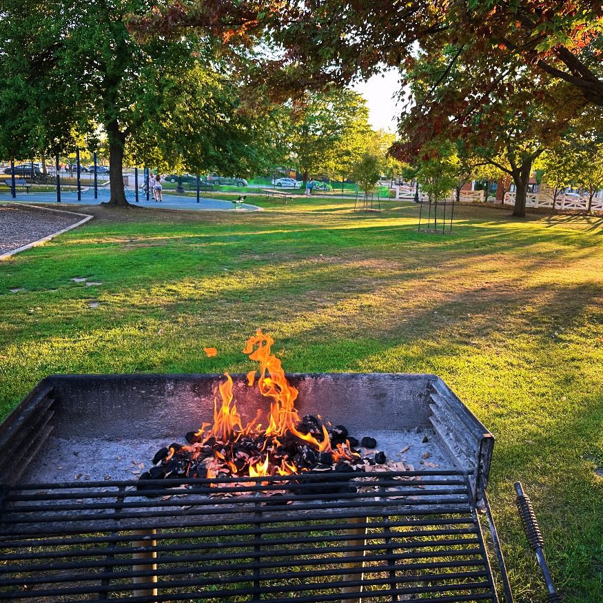 17 park barbecue