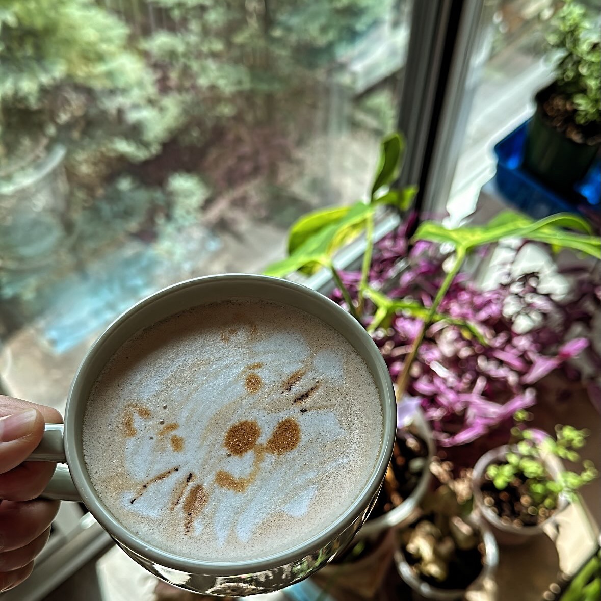 19 cat foam coffee
