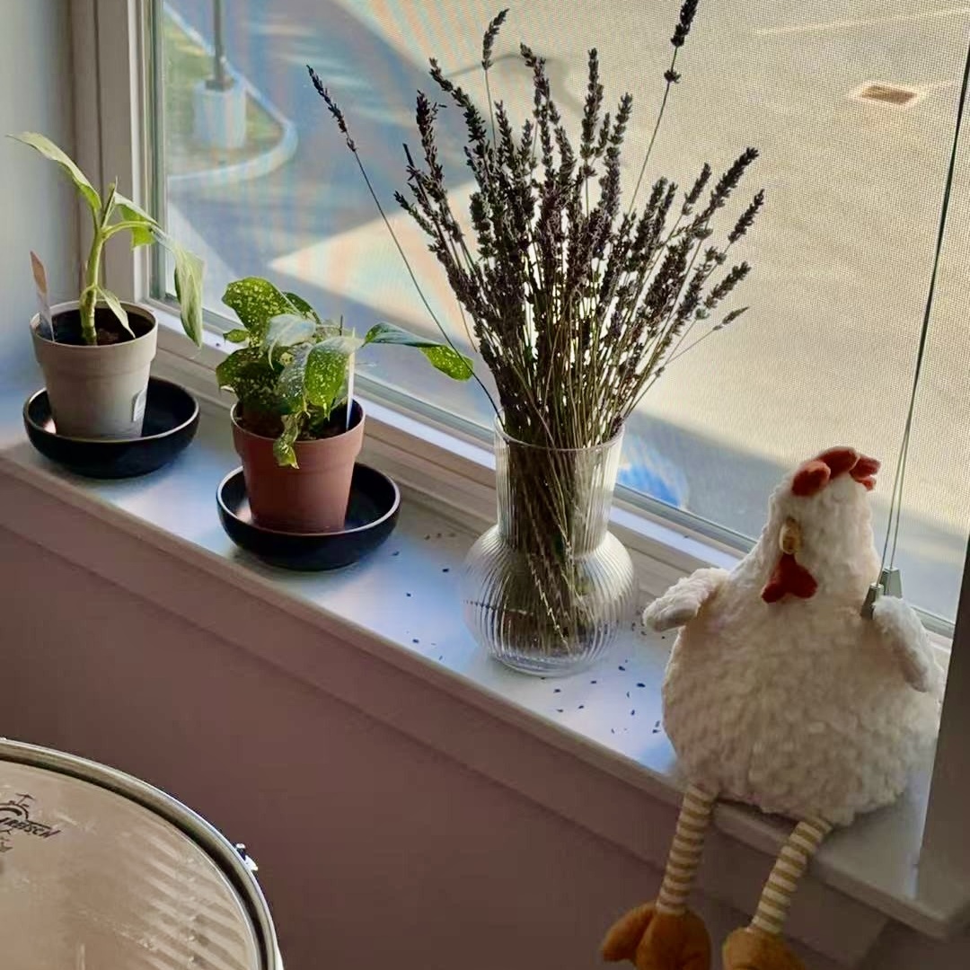 25 flowers by window