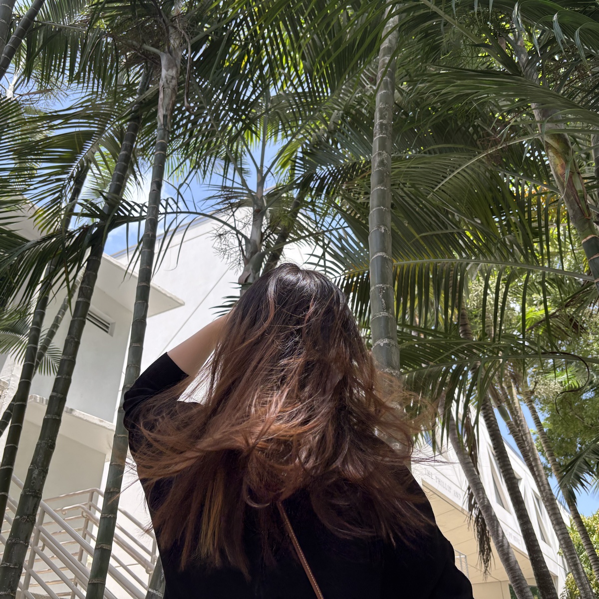 37 under the palms