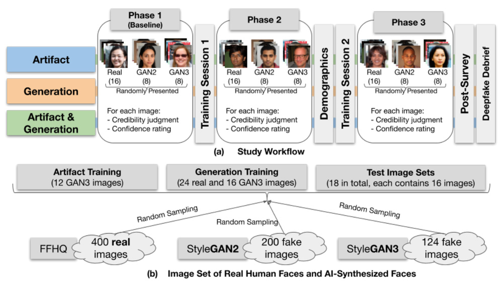 Overview of artifact, generation, and combined training across three phases of a face detection study